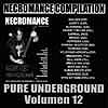 Pure Underground Vol. 12